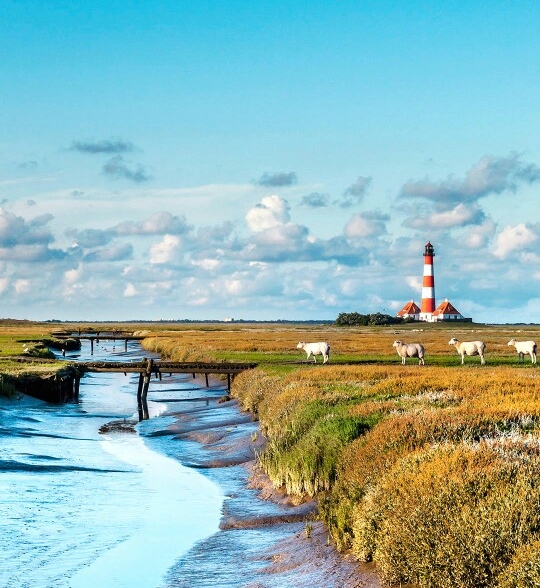 知识来源于生活又回归于生活