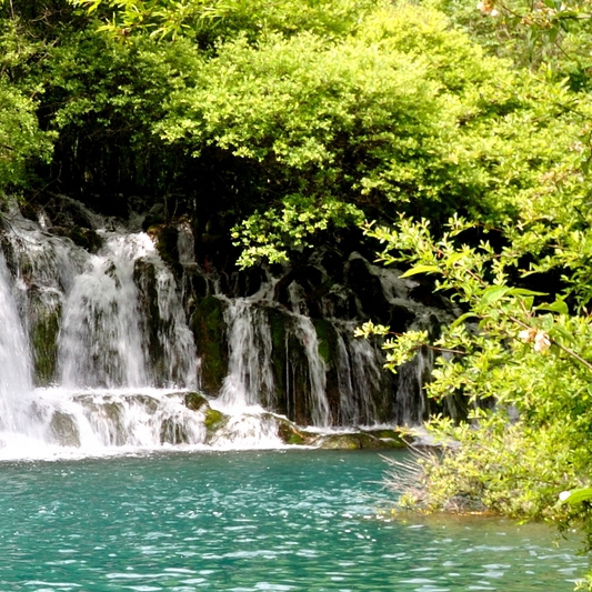 粉象生活在哪里看我的订单