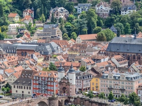 粉象生活与蜜源