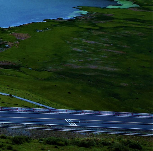 粉象生活具体是做什么的