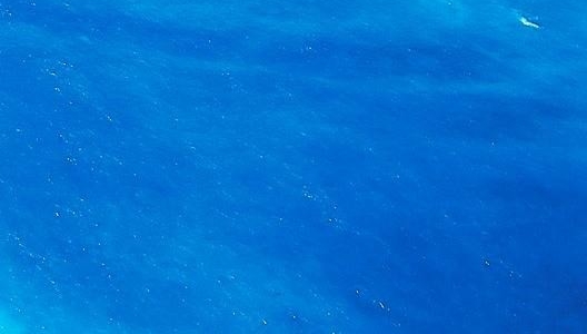 粉象生活邀请码