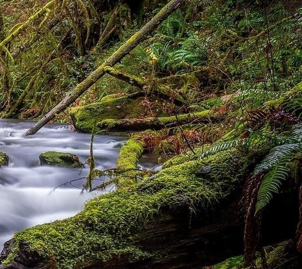 粉象生活邀请码填谁的最好