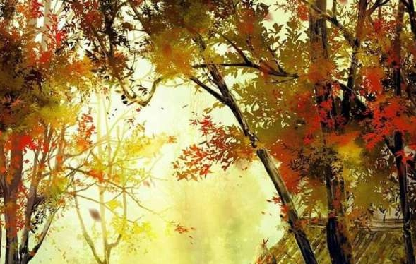 徐州粉象生活收费