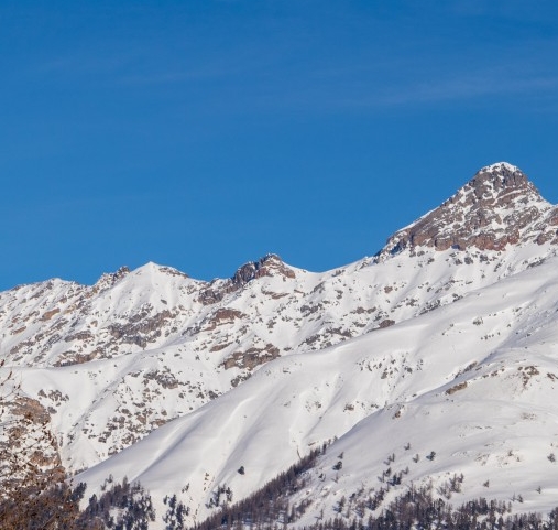 粉象生活怎样注销帐号