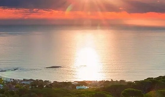 公主购和粉象生活哪个好