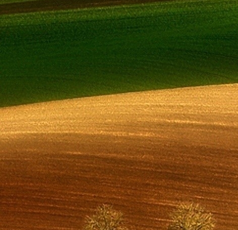 广东一站式粉象生活邀请人