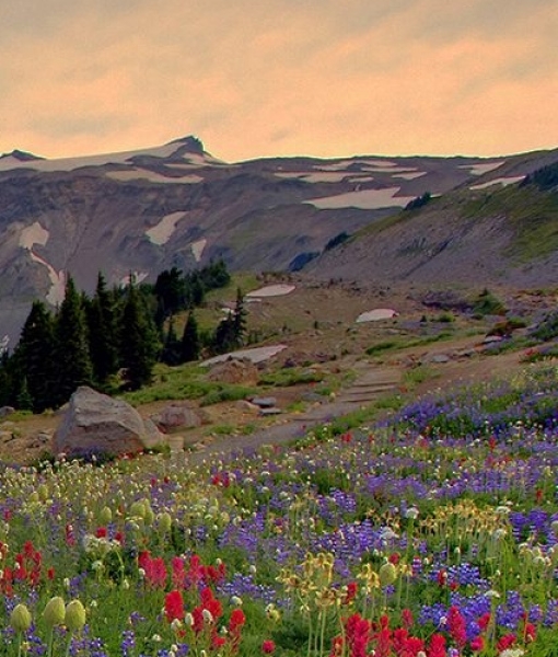 郑州象湖公园收门票吗