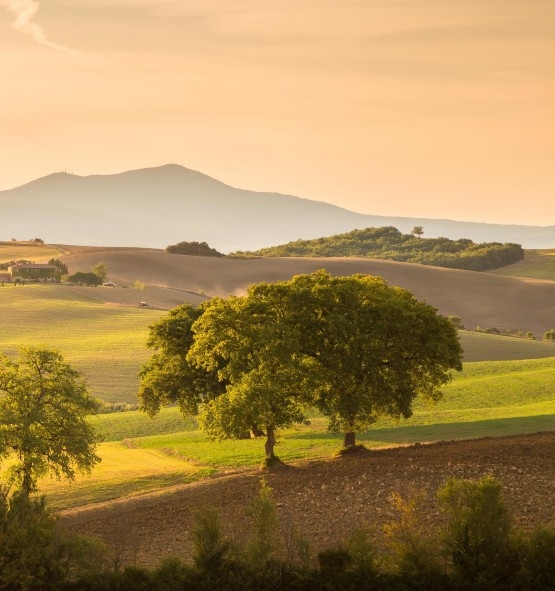 粉象生活怎样注销帐号