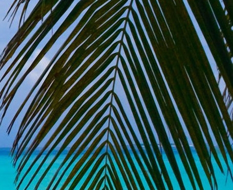 佛山粉象生活如何使用