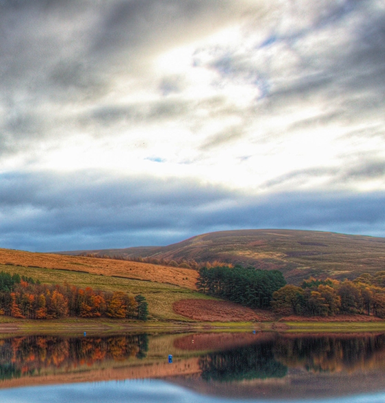 焦作粉象生活软件
