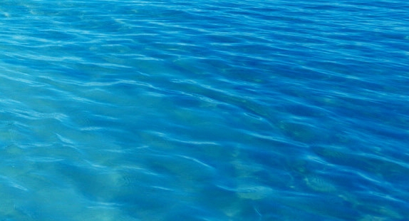 韶关粉象生活合伙人