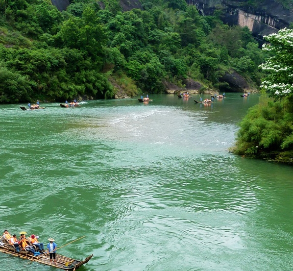 肇庆粉象生活合伙人