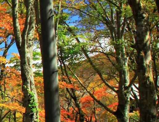 粉象生活软件安全吗