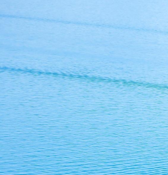 粉象生活上哪里拿的粉丝