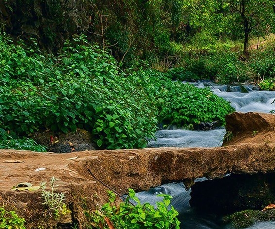 粉象生活商城佣金怎么算