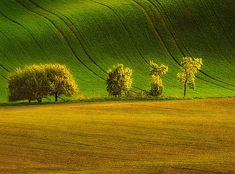 粉象生活的新用户怎么赚钱