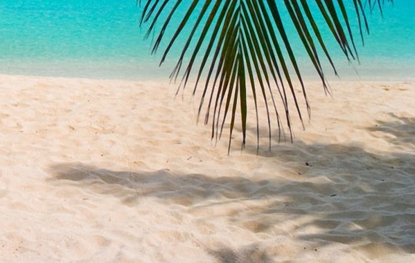 粉象生活图片logo