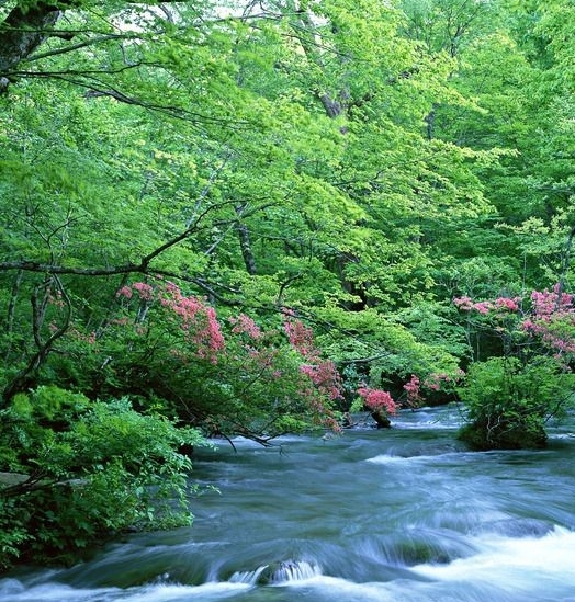 请问粉象生活和淘宝有合作吗