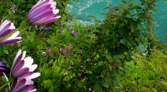 粉象生活邀请人