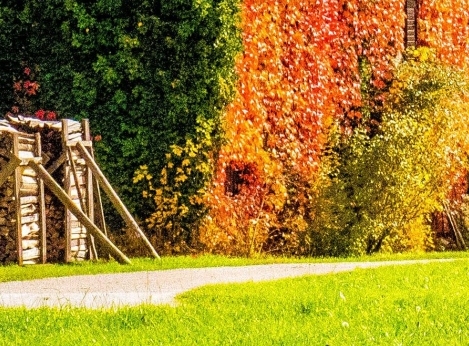 粉象生活填写商家邀请码