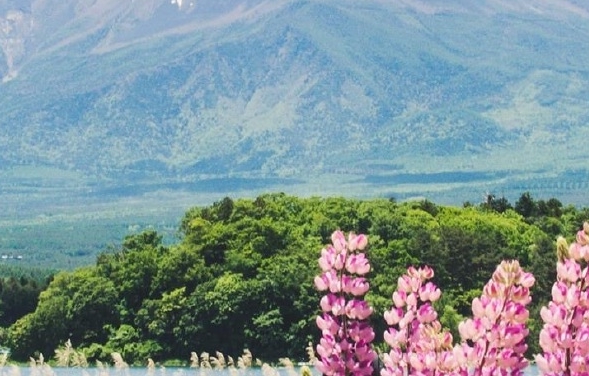 粉象生活可以做兼职吗