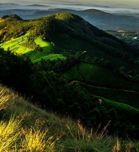 粉象生活游客身份