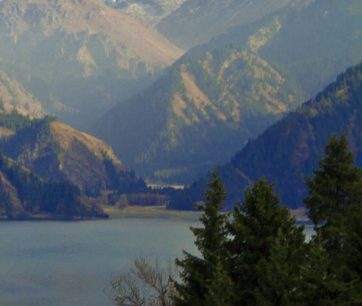 粉象怎么换邀请码