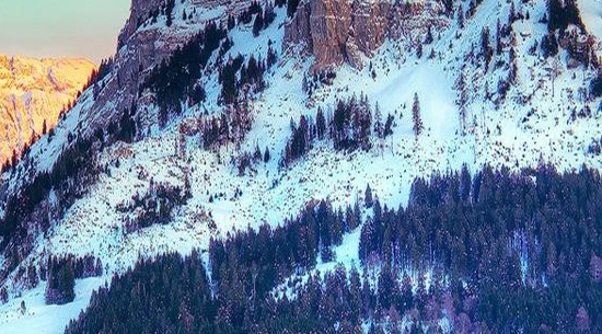 粉象生活必须要买会员吗