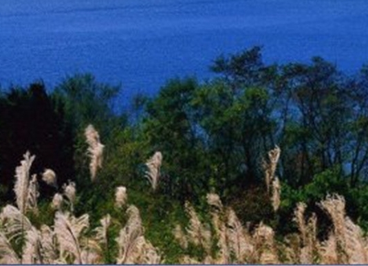 警校生校内生活vs校外生活