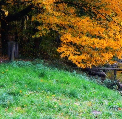 粉象生活粉丝怎么增加