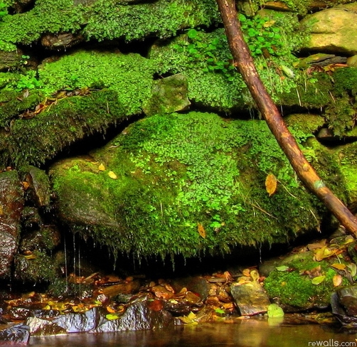 粉象生活哪里发货