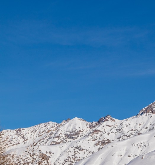 粉象生活如何推广
