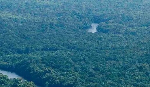 粉象生活下载app