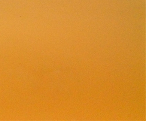 粉象生活新手期在哪里开通