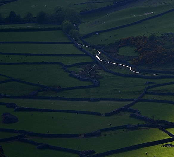 怎么注册粉象生活