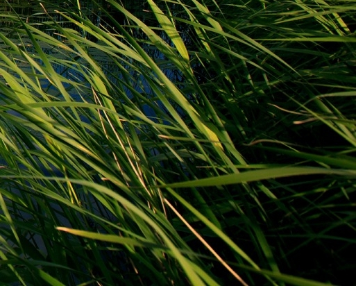 粉象合伙人股权分配