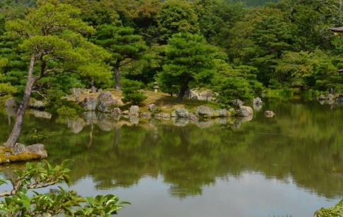 粉象生活天一团队