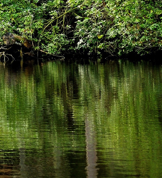 粉象生活怎么注册新号