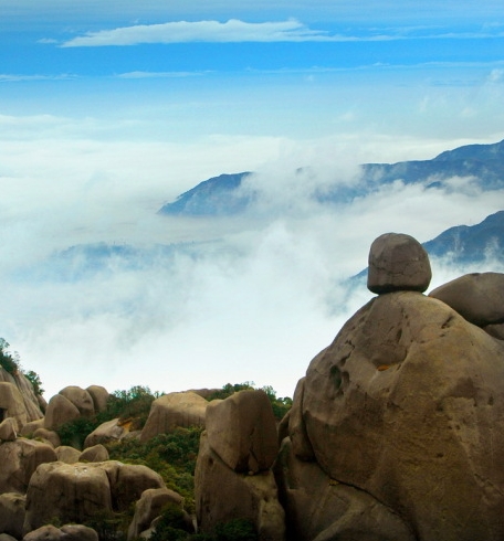 粉象生活每日答题