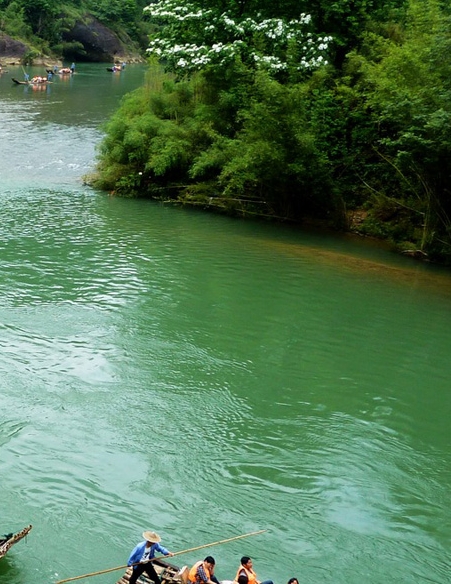 粉象生活淘宝客服怎么找
