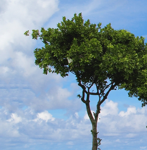 粉象生活怎么获得流量
