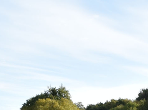 粉象生活如何关闭自动扣费