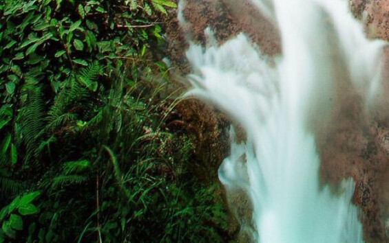 粉象生活如何注册