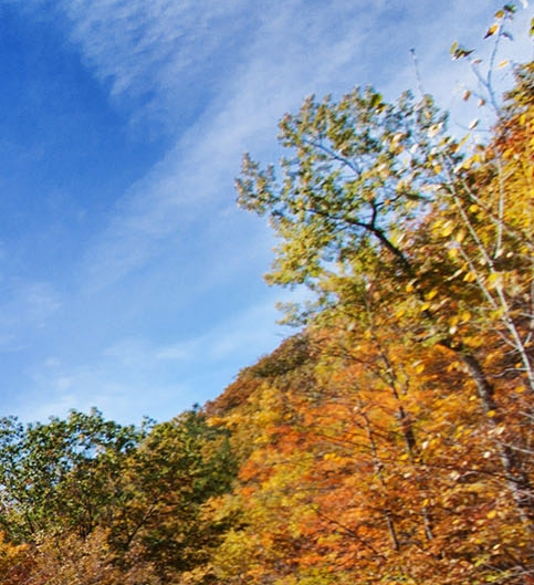 粉象生活谁的邀请码好