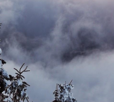 粉象生活怎么赚钱