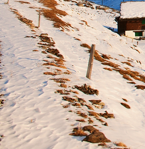 粉象生活怎么赚取佣金