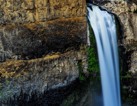 粉象生活邀请码填谁的最好
