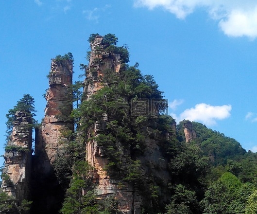 怎么填写粉象生活邀请码