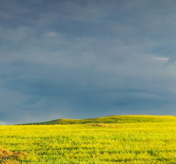 滨州粉象生活收入