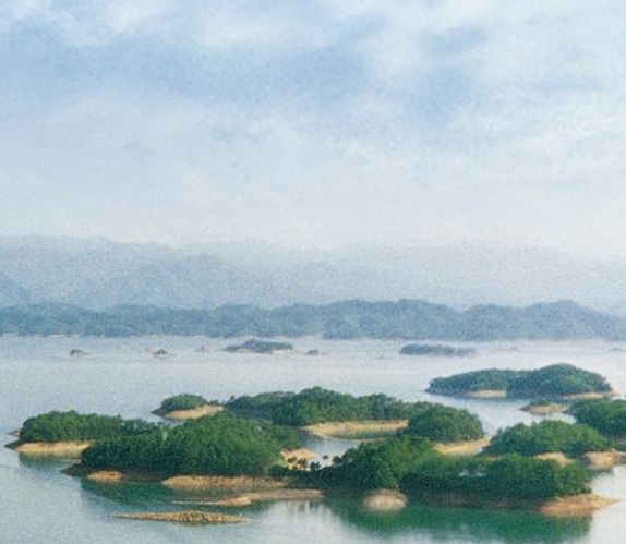 粉象生活品牌馆